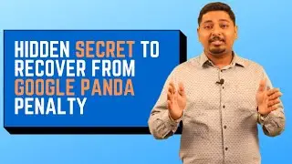 Google Panda Update Explained & Secret To Recover Your Website From Google Panda Penalty