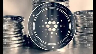 Cardano Network Upgrade And Hard Fork Gets Support From Binance