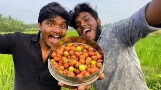 எலந்தப் பழம் ஜாம் செய்யலாம் வாங்க | Elantha Fruit Jam Makeing | Mottamaadi Samayal Tamil