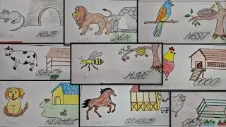 EASY DRAWING||ANIMALS HOME PROJECT🐶🦁🐴🛖|SHELTER OF ANIMALS & BIRDS🐭🦆🦜|EVS PROJECT|UKG STUDENTS