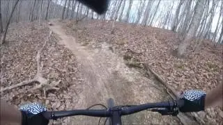 ESNP Black Forest MTB Trail