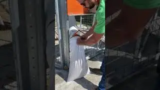 24 Hr Deer Corn Vending Machine