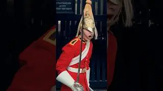 КОРОЛЕВСКАЯ ГВАРДИЯ ДОСТАТОЧНО НАБЛЮДАЕТ! ПОЛИЦИЯ ВМЕШАЕТСЯ! | Конная гвардия, Королевская гварди...