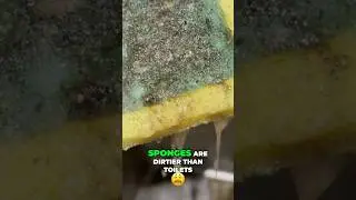 Do you change SPONGES ?🧽🤮#shorts #viralshorts