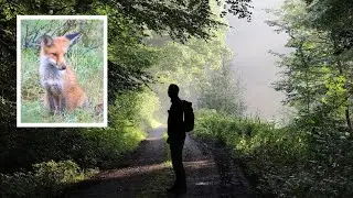 WILDTIER-ABENTEUER auf Wanderschaft | Wildemann im Harz