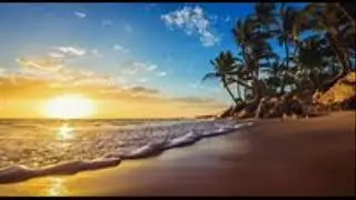 youtubevid1 1