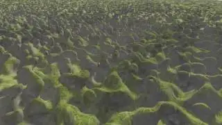 World Formation Test