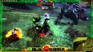 WvsW - Necro Anti-Sieging 5/30/13 [Guild Wars 2]