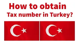 How to Obtain a Tax Number in Turkey (Istanbul)?