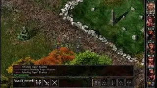 Baldur's Gate Enhanced Edition - Part 7 Rescuing Dynaheir