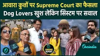 Supreme Court on Stray Dogs: आदेश से Delhi-NCR के Dog Lovers खुश, लेकिन सरकारी सिस्टम पर भड़के