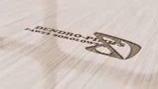 Dendro-Pinus Produkcja okien i drzwi