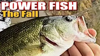 The BEST Way to Catch Fall Turnover Fish Without Wasting Time!