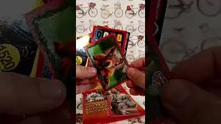 PIZZARDI AMICI CUCCIOLOTTI 🐾 FIGURINE 2025 😍 🥰 👍 🐾 🐌 🐌 🐌 🐌 🐌 🐌 🐌 🐌 🐌 🐌 🐌 🐌 💙 🩵
