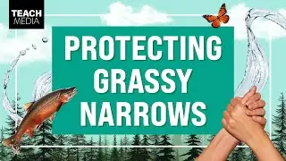 Advocating for Grassy Narrows: Stewardship, Healing, and Resilience #indigenousrights