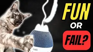 Catit PIXI Spinner: FUN or FAIL? | SMART Interactive Cat Toy Review & Comparsion