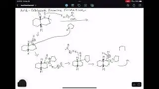 Acid-Catalyzed Enamine Formation