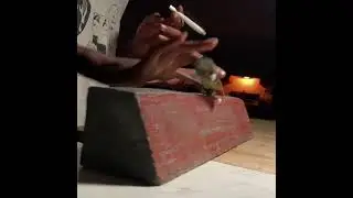 LA HIGH