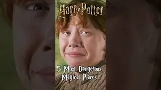 Most Dangerous Magical Places in Harry Potter Films 😱 #harrypotter #hogwarts #potterhead #shorts