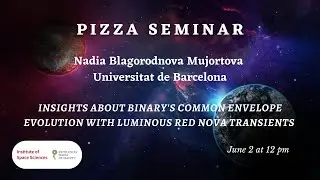 Nadia Blagorodnova: Insight on binary's common envelope evolution with Luminous Red Nova transients