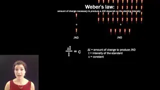 [Psyc220] 04 Signal Detection Theory