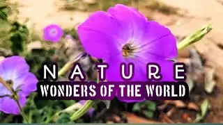 Nature Wonder of the world 