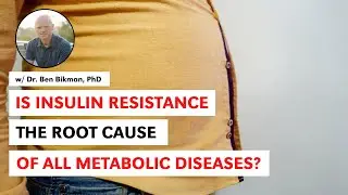 Is Insulin Resistance the Root Cause of All Metabolic Diseases? w Dr. Ben Bikman, PhD