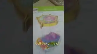 NEET MOTIVATION💖//🙏☺\\ cell the unite of life #3dnotes#neet#shorts