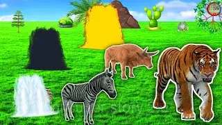 #VFX Tiger #Zebra Cock Cow Paint Animals Cartoon | 3D Animal Painting Animation