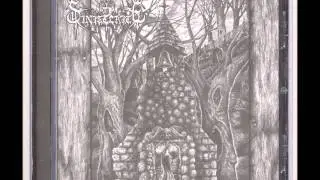 Sinisterite - Trepidation