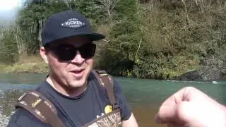 Spring Break Steelhead 2017
