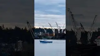 Tide outbound,lots of boat traffic and a mountain of logs at the Port #fraserriver #newwestminster