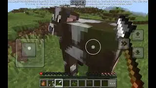 Shadow And Amy Play 99 Nights In Minecraft