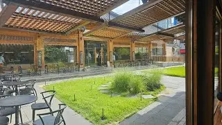 EARLY MORNING WALK IN KOREA: TRAVEL Q&A AND DAEGU EXPLORATION
