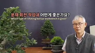 분재 회전 작업대 어떤게 좋은가? Which type of rotating bonsai workbench is good?