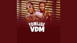 VDM