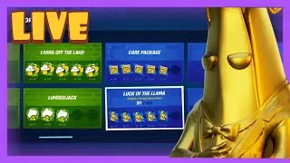Completing all 51 PUNCH CARDS!!! (Fortnite Battle Royale)
