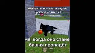 длинное видео сверху /^\ roblox kitten game 🐾