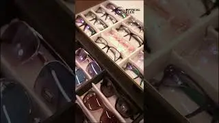Stylish Branded Sunglasses for Summer 2025 | Optical Plus Noida Collection