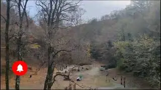 Belgrade Forest in Istanbul Turkey