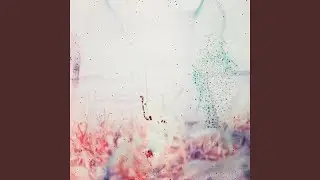 Fall From Grace