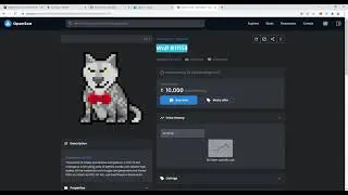 I Testing the First Staking NFTS Wolfgame Polygon Store