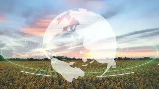 The Need for a Just Transition