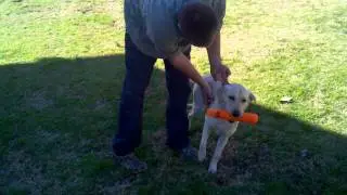 Ru force fetch