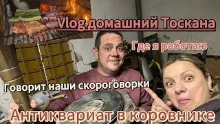 #домвТоскане#Лука говорит скороговорки#антиквариат в коровнике#мой сад
