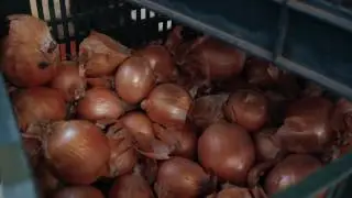 The Albion Rooms Farm Fresh to Table