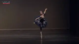 Bluebird - Sleeping Beauty - YAGP 2019 Chicago - Olivia Drumm - Junior Solo