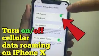 How to turn on or off cellular data roaming on iPhone X