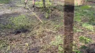 Sustainable Family Farm - First Planting.  Foundation for Sustainable Families