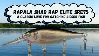 Rapala Shad Rap Elite SRE75 7/16 ounce - A Classic Lure For Catching Bigger Fish